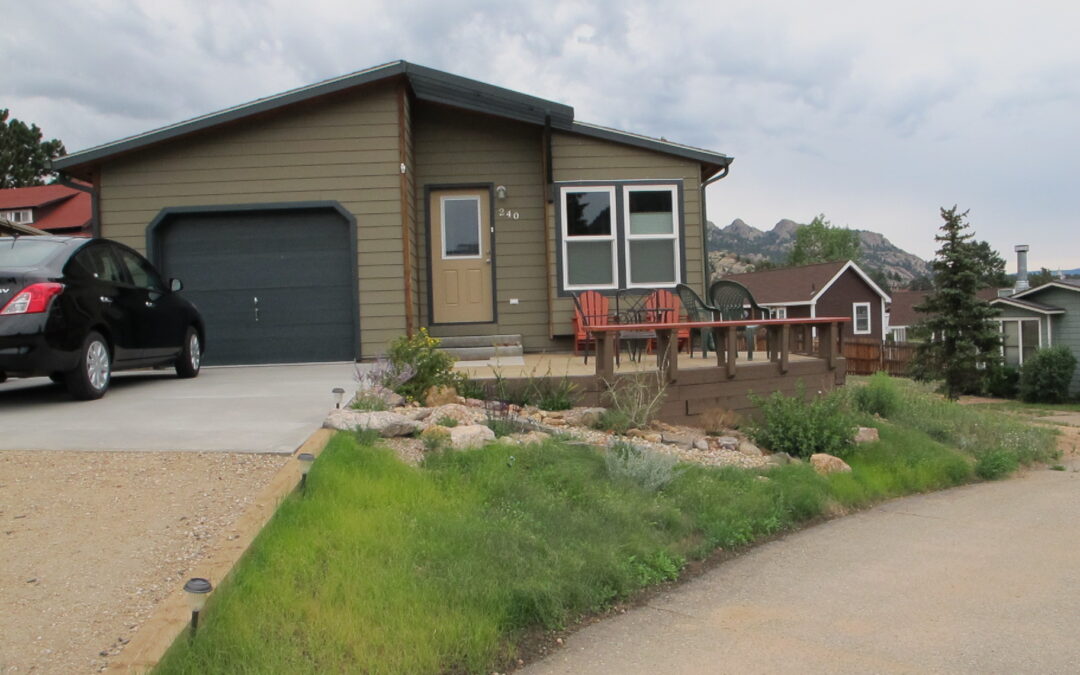 High Elevation Blue Grama Front Yard